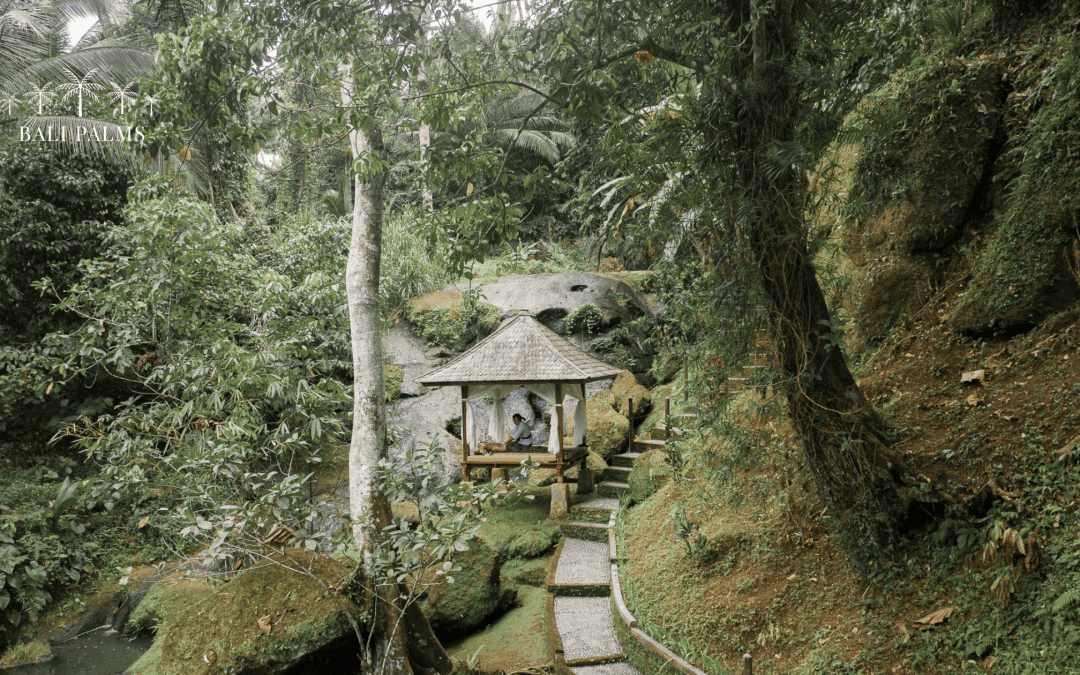 Bali Travel Guide for First Timers: From Digital Validation to Authentic Living