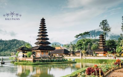 Quiet Places in Bali: A Healthcare Professional’s Guide to Authentic Rest and Cultural Connection