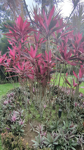 Photo from customer review