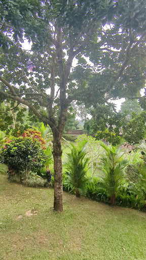 Photo from customer review