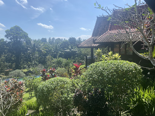 Photo from customer review