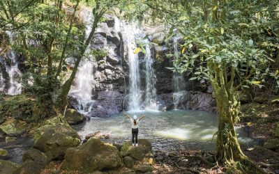 Bali Overtourism Exposed and Why the Real Island Experience Still Exists