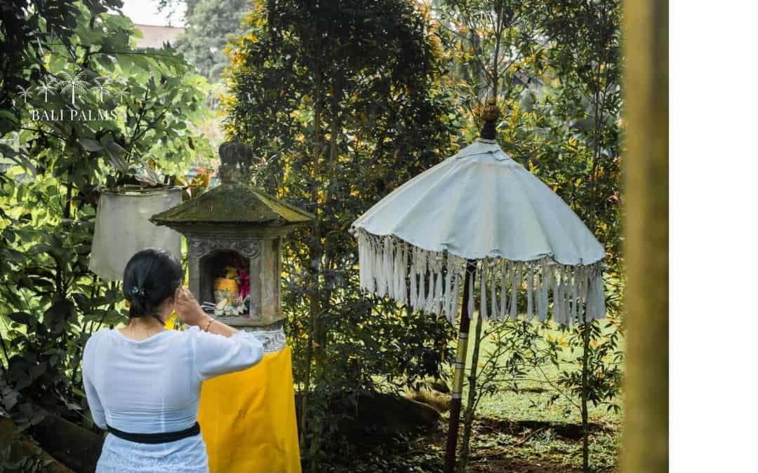 Canangsari: A Guide to Bali’s Daily Offering of Gratitude
