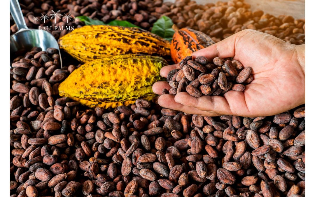 Finding Real Bali Through Chocolate Tour Bali: A Designer’s Journey from Tourist to True Believer