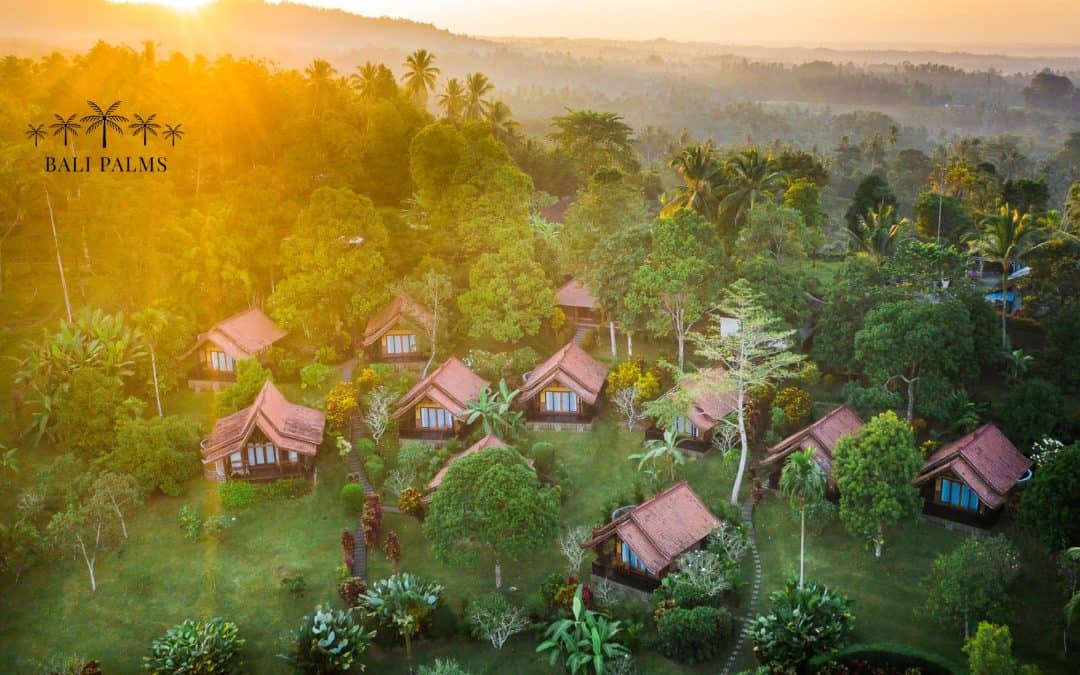 How Real Bali Transformed a Struggling Business Owner: A Journey Beyond Southern Bali’s Tourist Trail