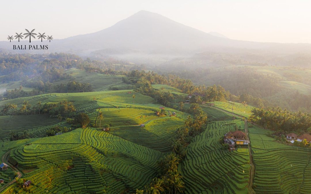 How a Divorce and a Balinese Purification Ceremony Changed Everything: My Journey Through Tabanan