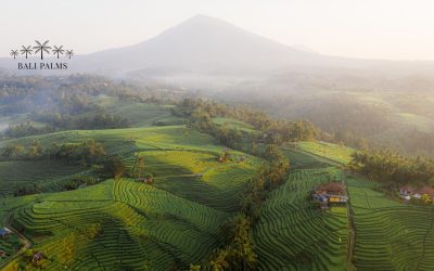 How a Divorce and a Balinese Purification Ceremony Changed Everything: My Journey Through Tabanan