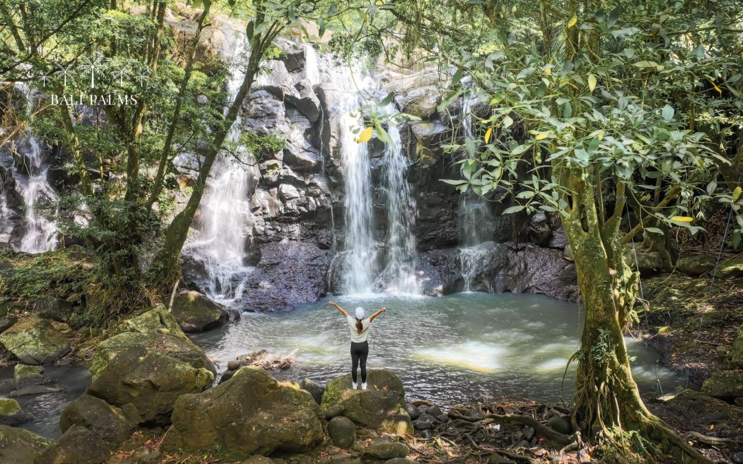 How a Mental Wellness Retreats in Bali Changed Everything: A Skeptical Insurance Guy’s Story One Year Later