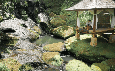 Balinese Massage: A PhD Candidate’s Journey from Dissertation Paralysis to Completion