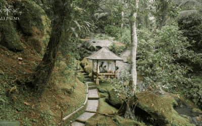 Best Places to Stay in Bali for Men Facing Retirement: One Engineer’s Unexpected Recovery