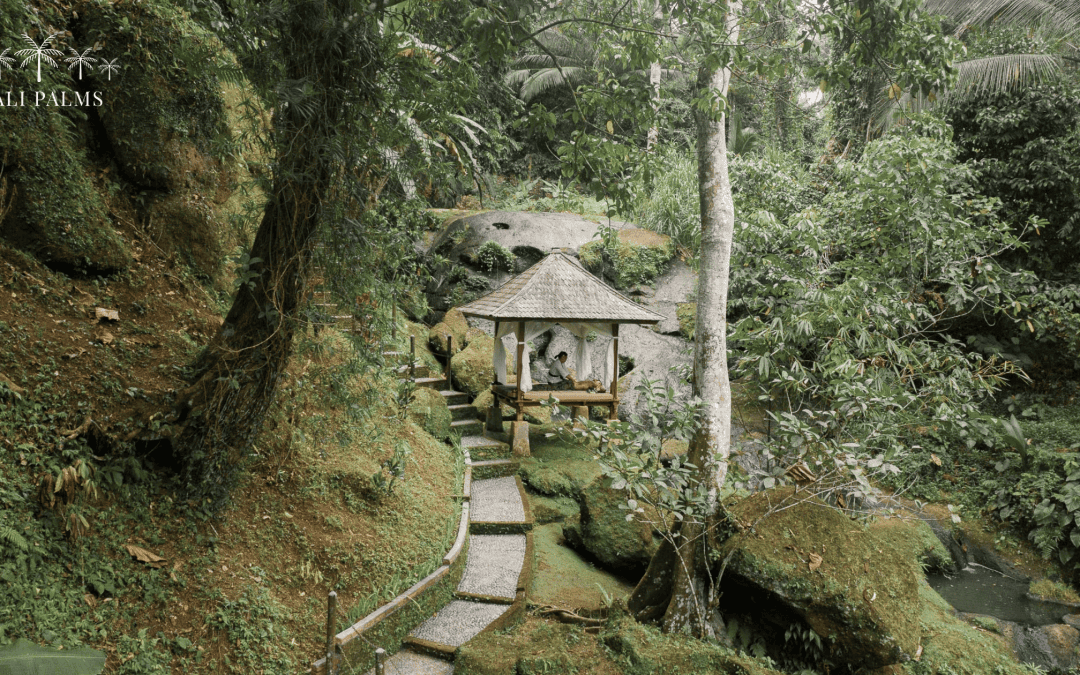 How a Skeptical Retiree Found Purpose at a Luxury Hotel in Rainforest