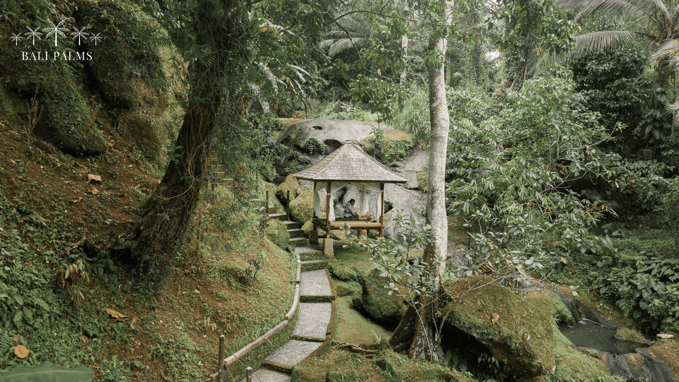 hotel-in-rainforest