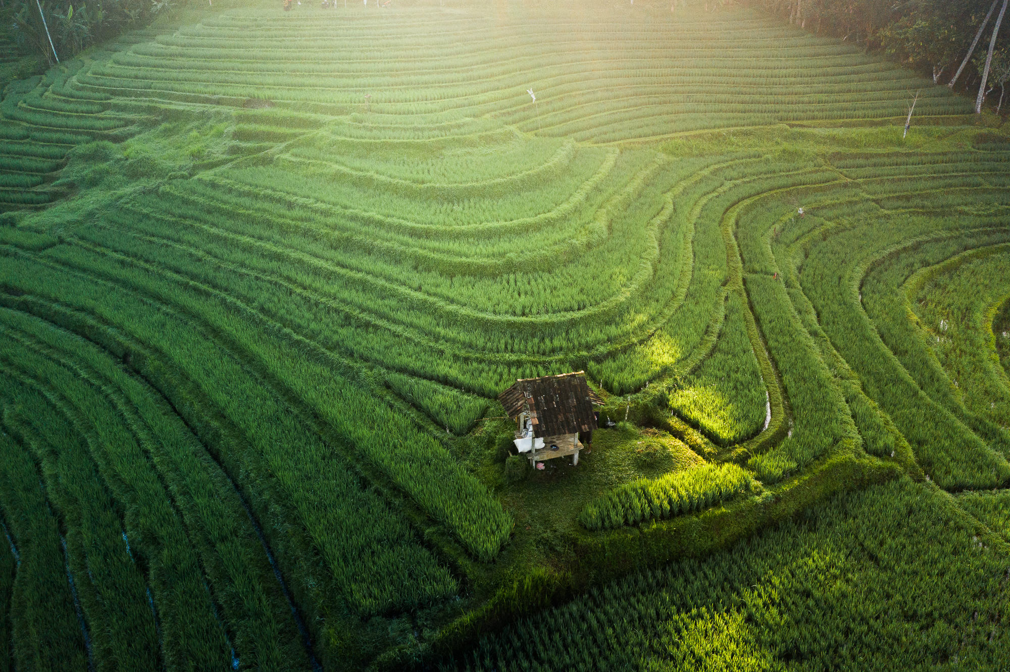 DJI_0221