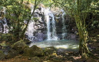 The Waterfalls of Tabanan — Bali’s Most Beautiful and Least-Visited Natural Escapes