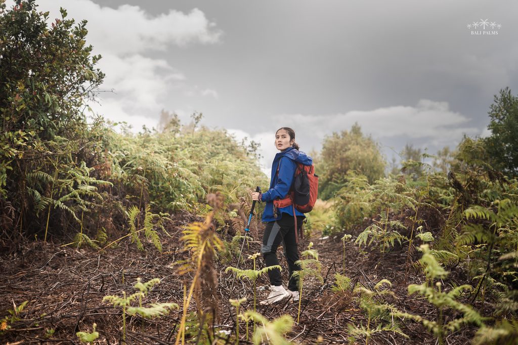 Batukaru Trekking